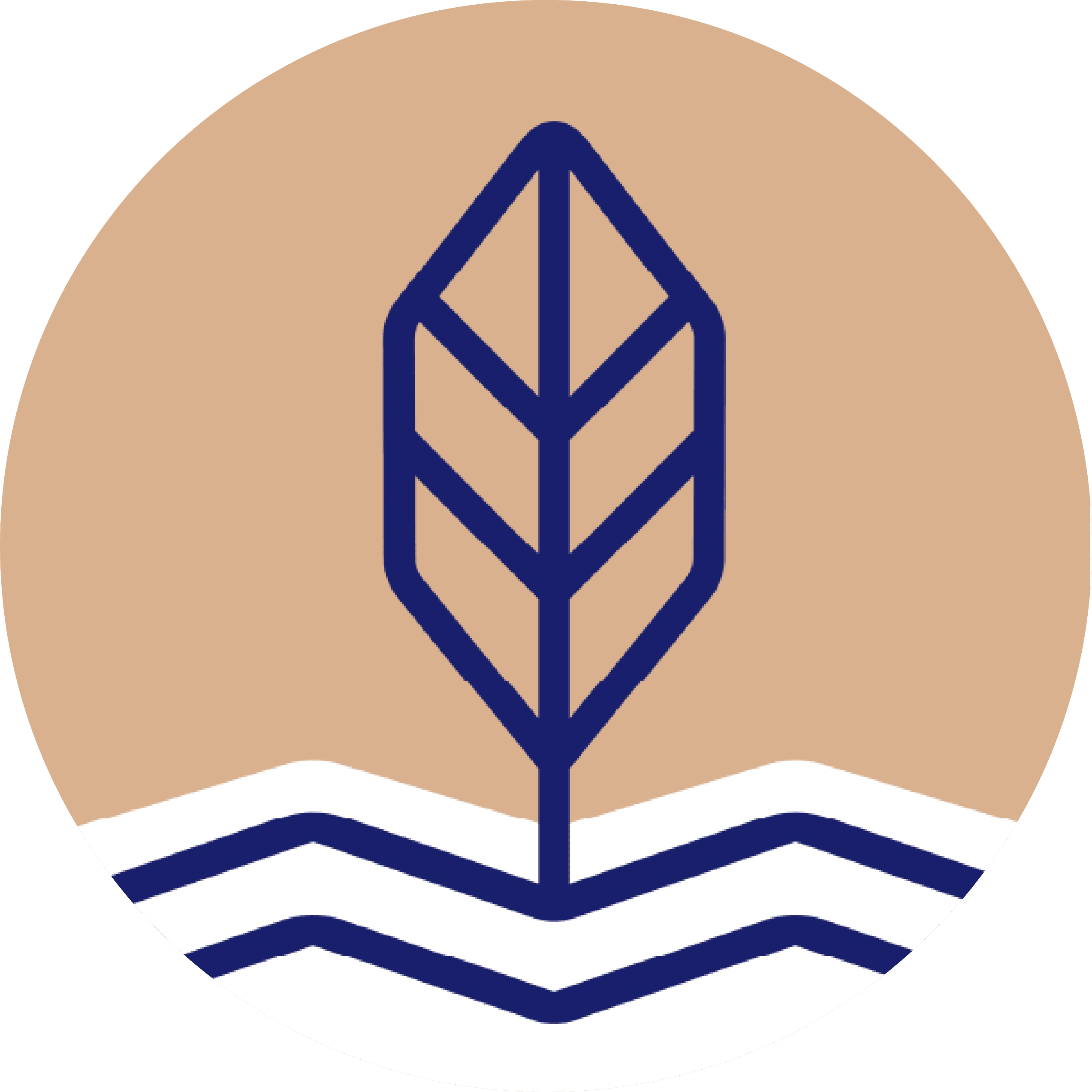 Riverside Vineyard Church logo